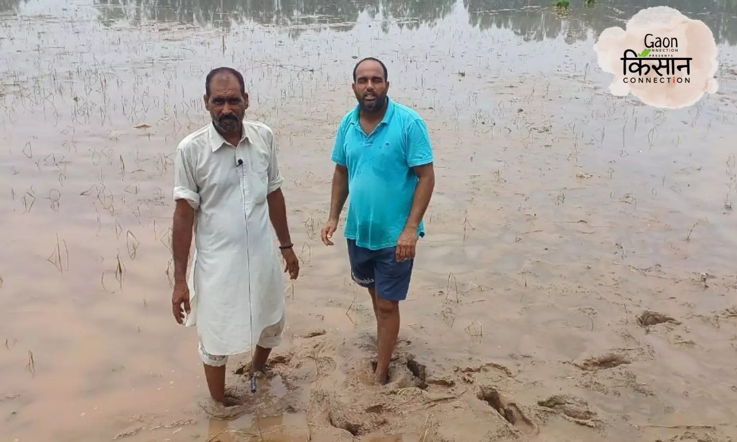 As they sow, so they weep — Ground Report from flood-hit villages in Haryana