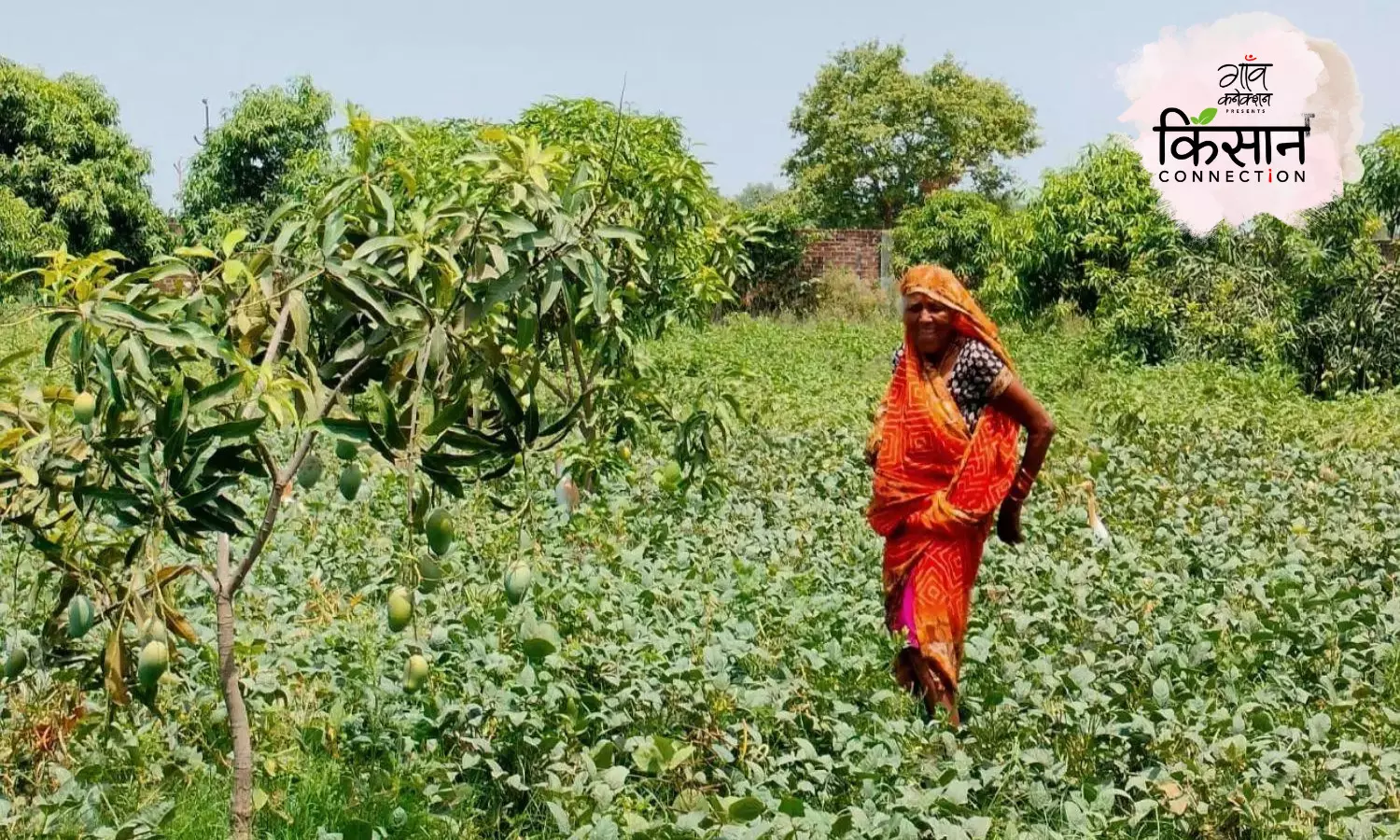 देश में बढ़ती गर्मी से कम हो सकती हैं नौकरियाँ, महिला खेतिहर मज़दूरों पर होगा ज़्यादा असर