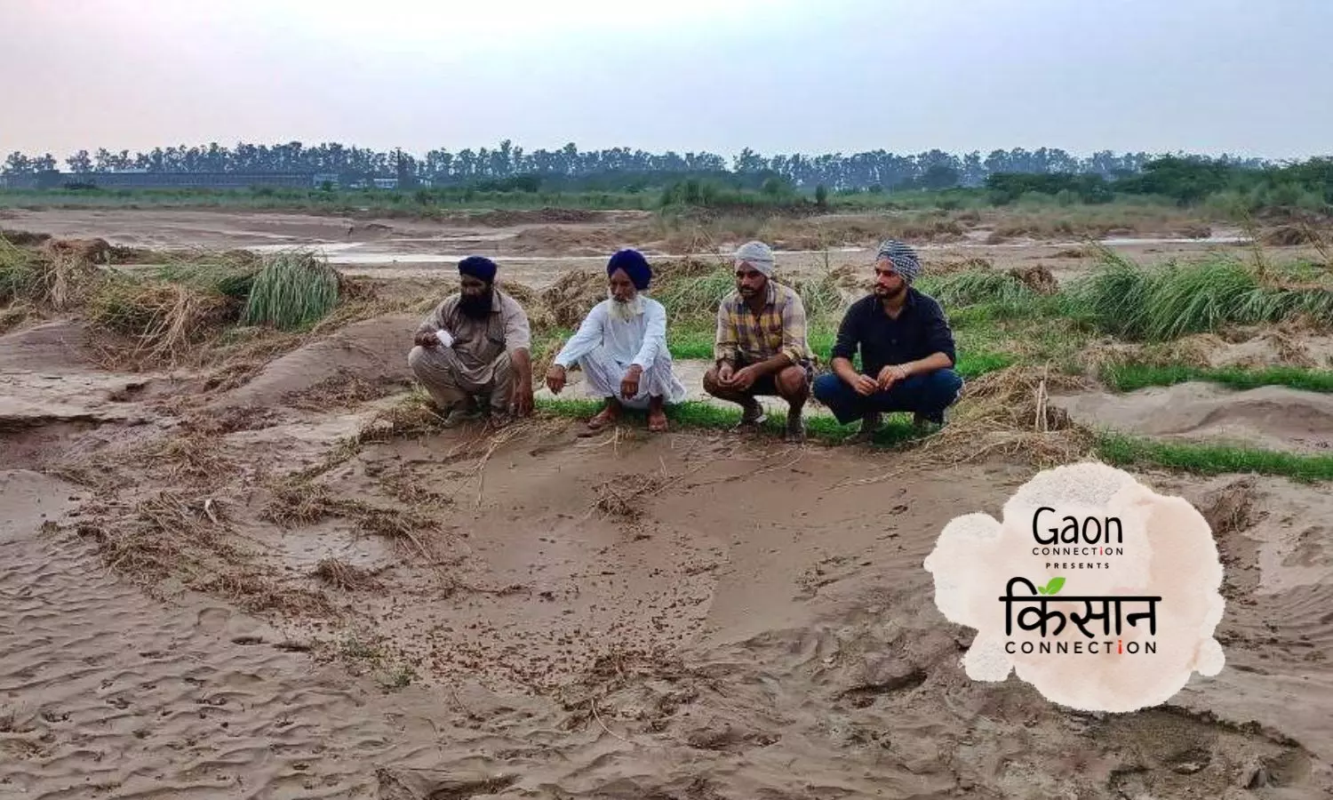 Haryana floods: The Tangri river changed its course and farmers in Ambala are still reeling from the consequences