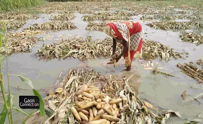In 2023 so far, floods and cyclones have killed 1,224 people; destroyed over 4 lakh hectares of crop area — Central Govt tells Rajya Sabha