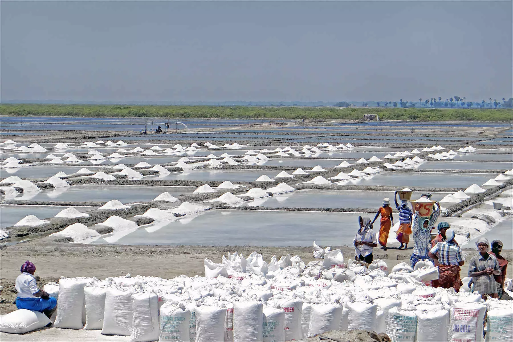 90% of workers in Tamil Nadu’s salt pans working above recommended heat exposure: Study