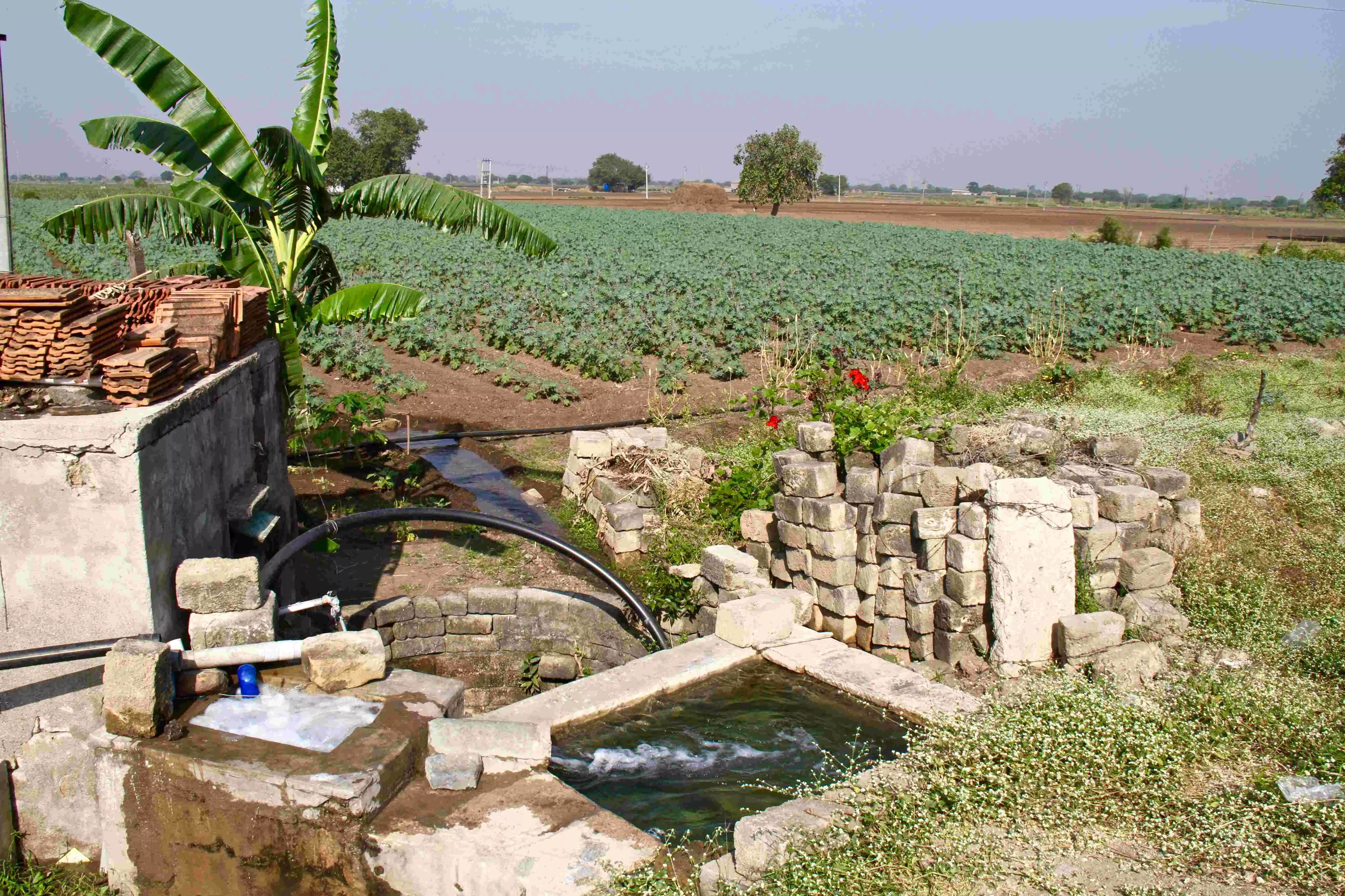 India Consumes A Quarter Of The Groundwater Extracted Globally: CSE Report