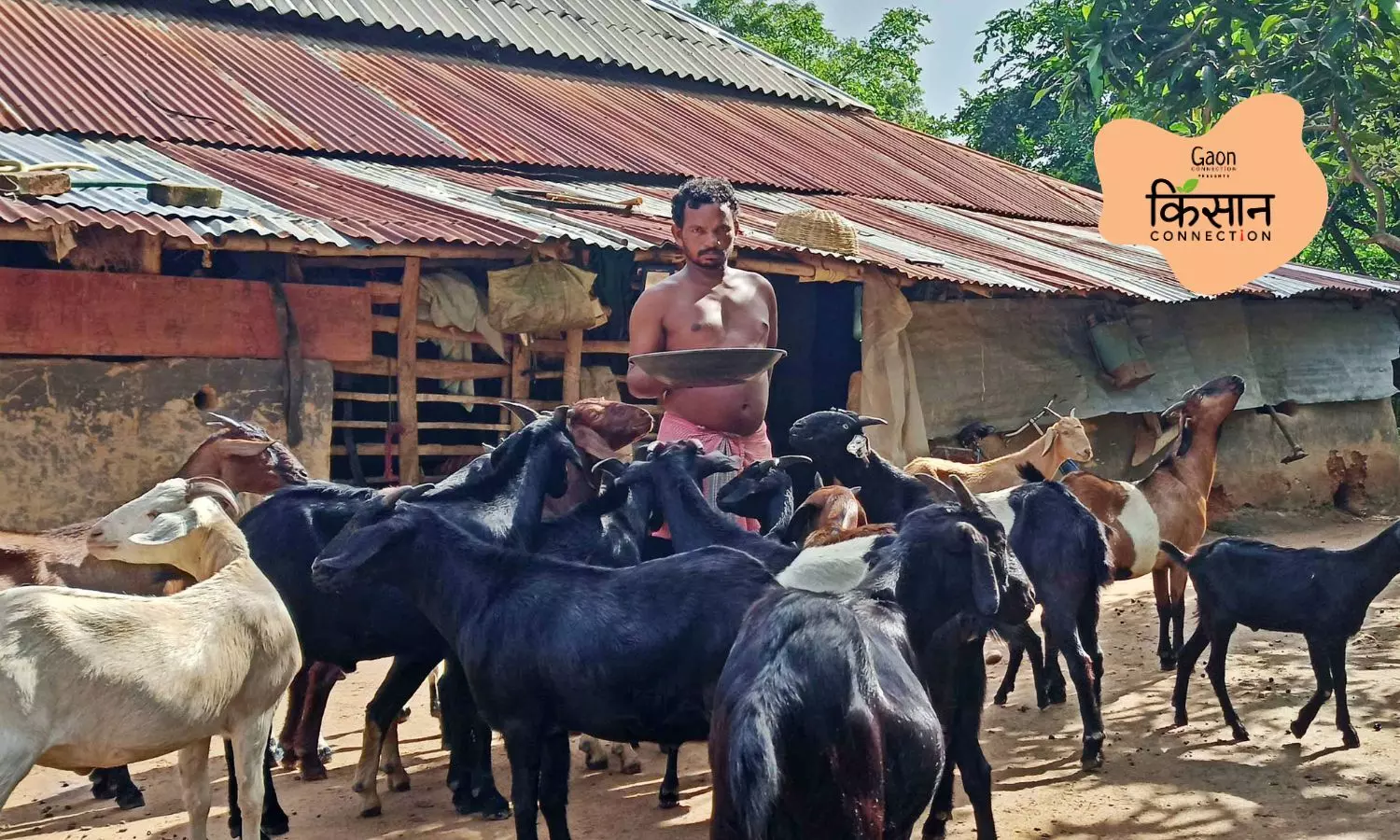 A loan of Rs 4,000 and two goats took a Santhal farmer from penury to pride