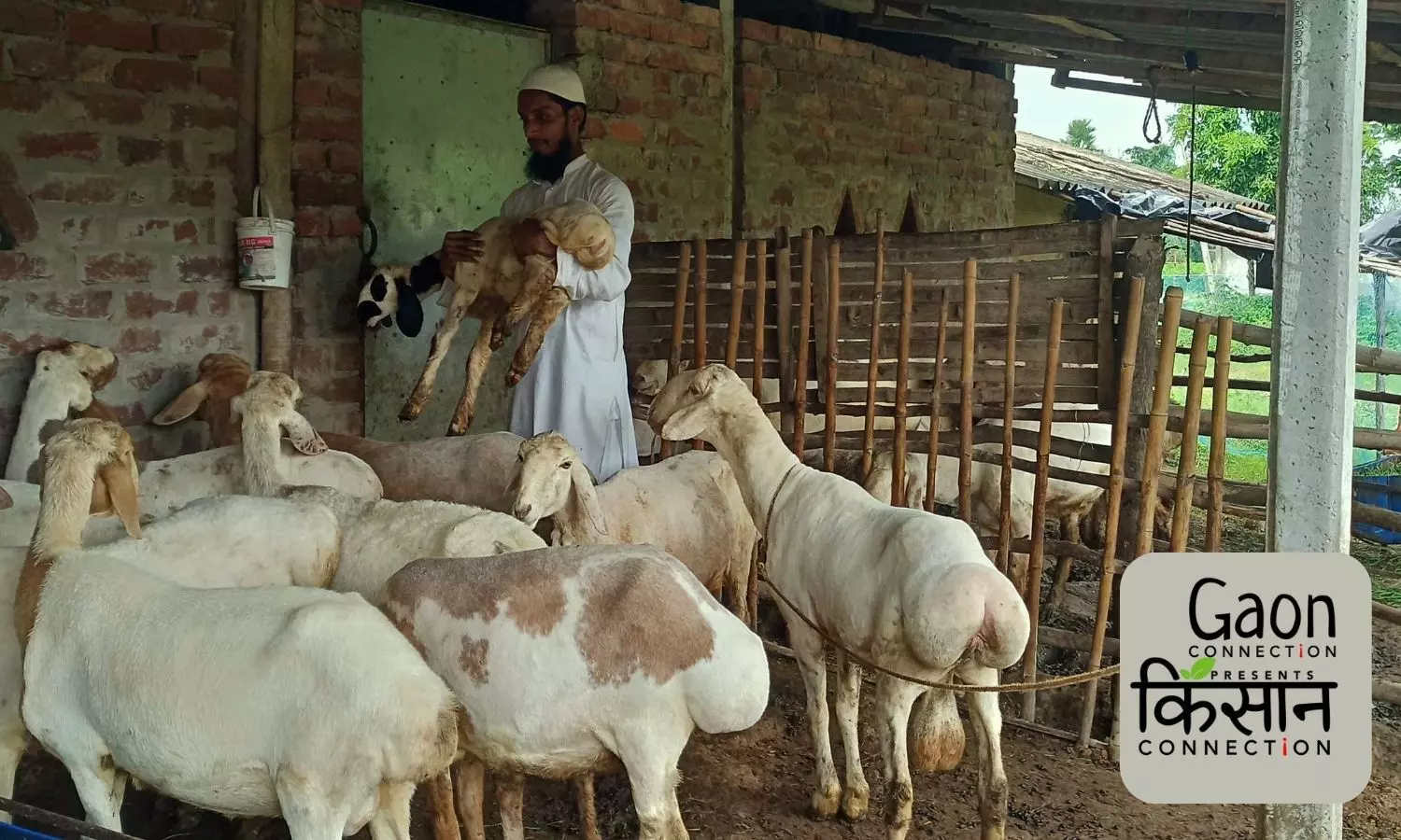 A cleric who is now a successful Dumba sheep farmer in West Bengal