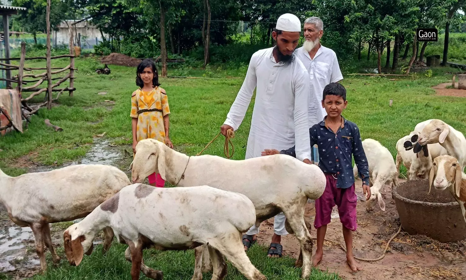 Nabibul decided he would buy the Dumba sheep he had seen 1,500 kilometres away in Rajasthan at the other end of the country.