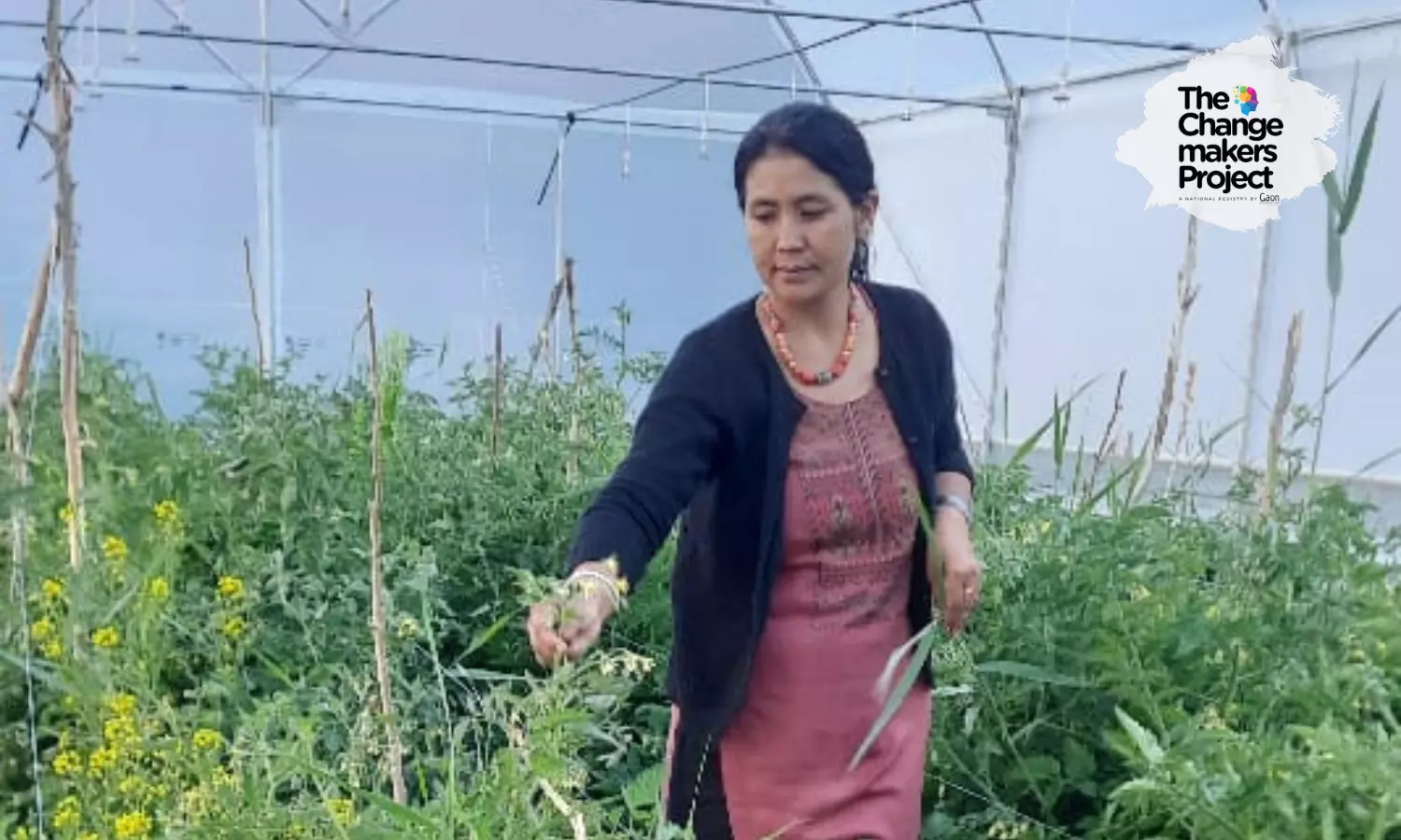 हिमाचल के एक गाँव की महिला किसान कैसे बनी दूसरों के लिए मिसाल