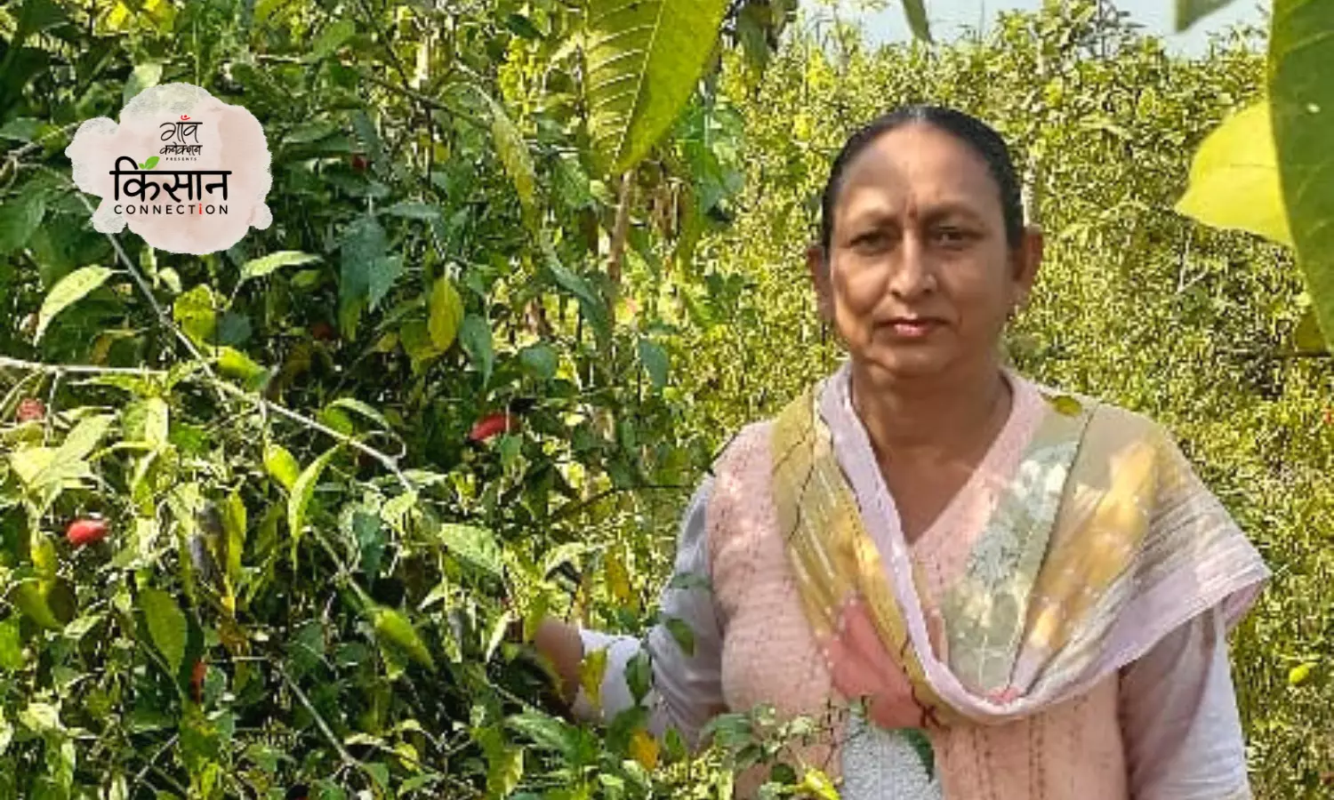 हिमाचल के इस गाँव में प्राकृतिक खेती और उत्पादन से अच्छी कमाई का गुर सिखा रही है ये महिला किसान