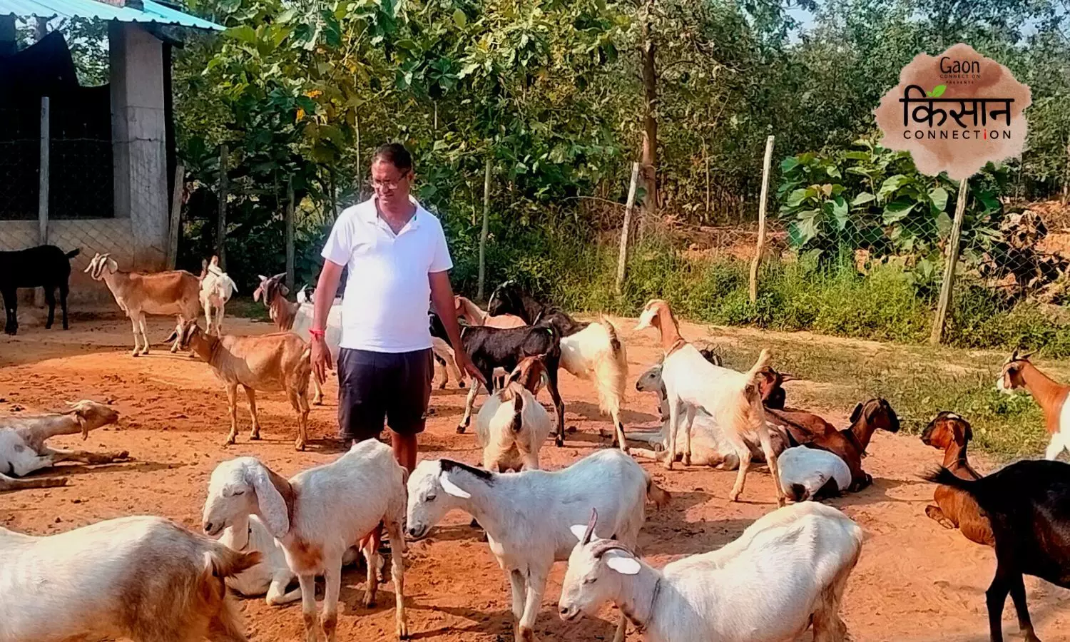 By Breeding Goats And Fish, A Teacher-Turned-Farmer Sarpanch Transforms His Village