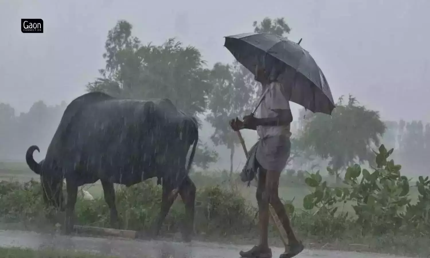 What Caused Unseasonal Heavy Rainfall and Lightning Deaths in Gujarat and Maharashtra? Weather Experts Tell
