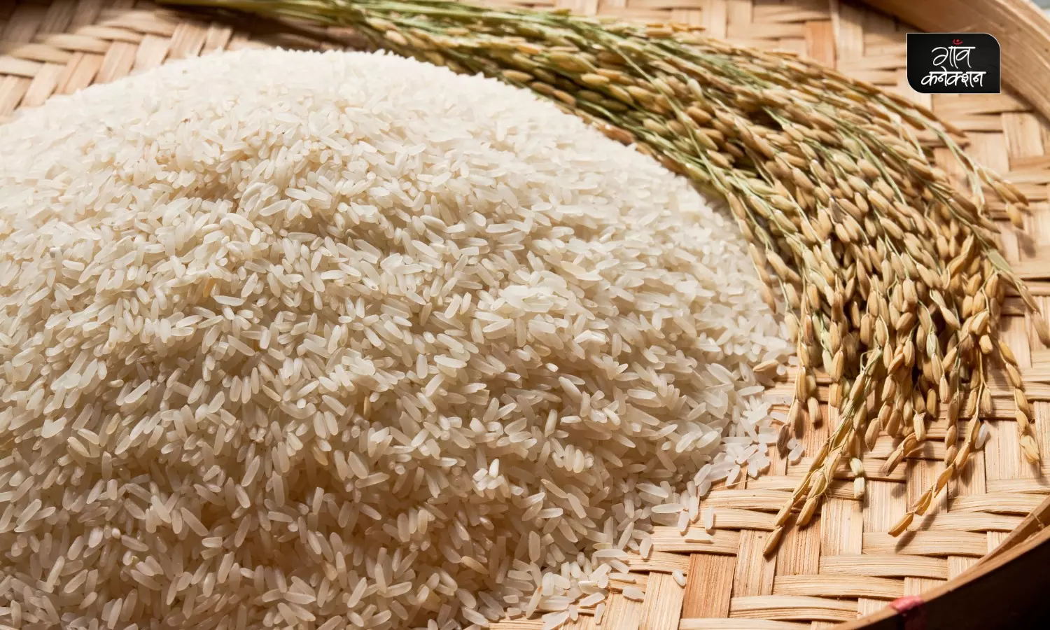 भारत के लिए ख़ास क्यों है टूटे चावल से कूटनीतिक रिश्तों को पकाना