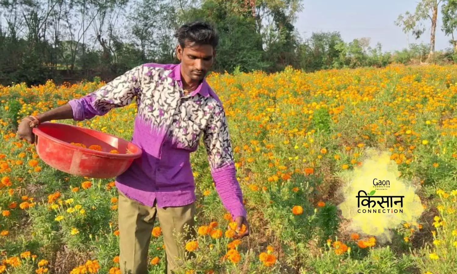 An accident led a paddy farmer to change to cultivating flowers; his annual turnover now is Rs 5 lakh
