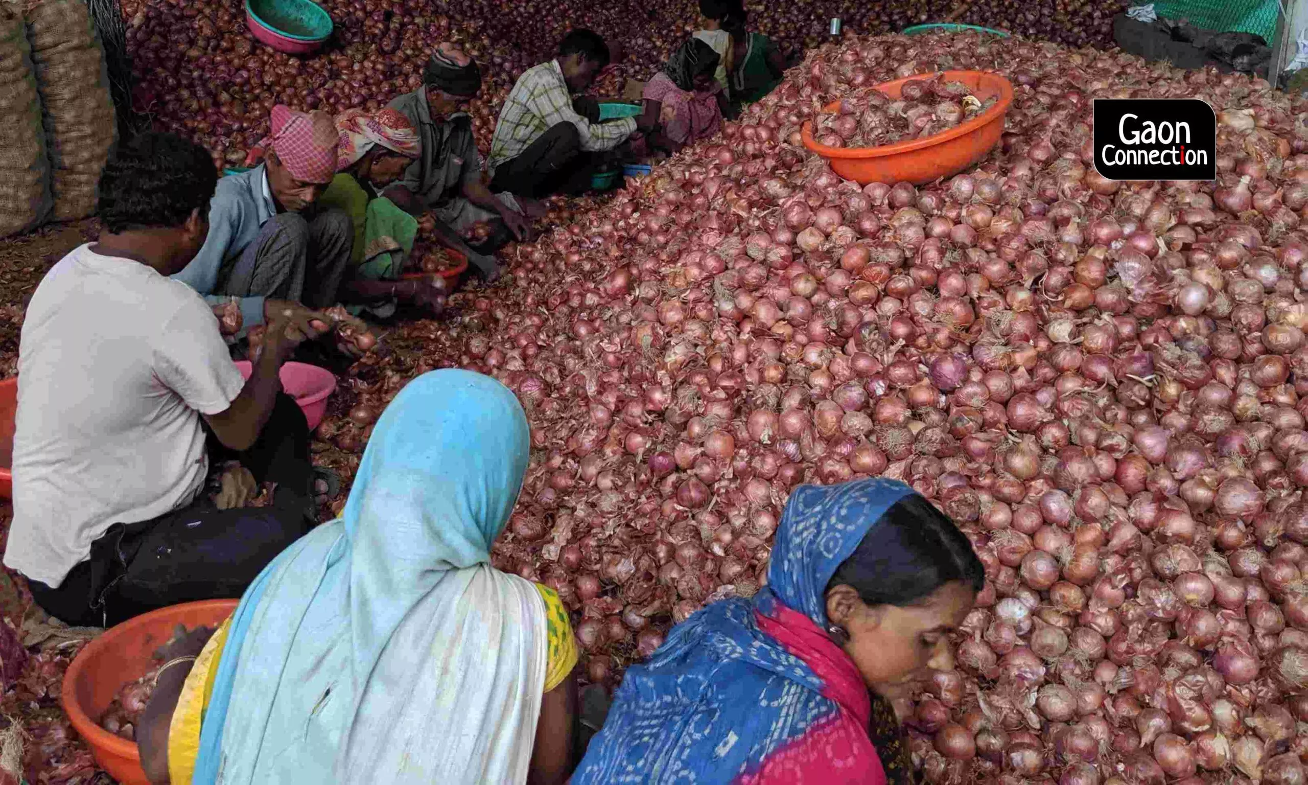 Onion Banks are No Guarantee of Fair Prices, say Farmers in Maharashtra
