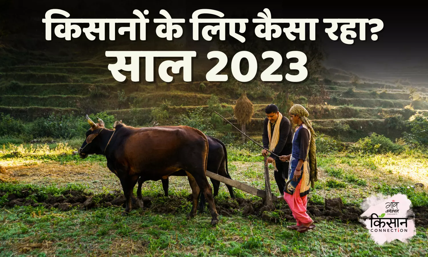 खेती-किसानी के लिए कैसा रहा गुज़रा साल क्यों ख़ास है 2024