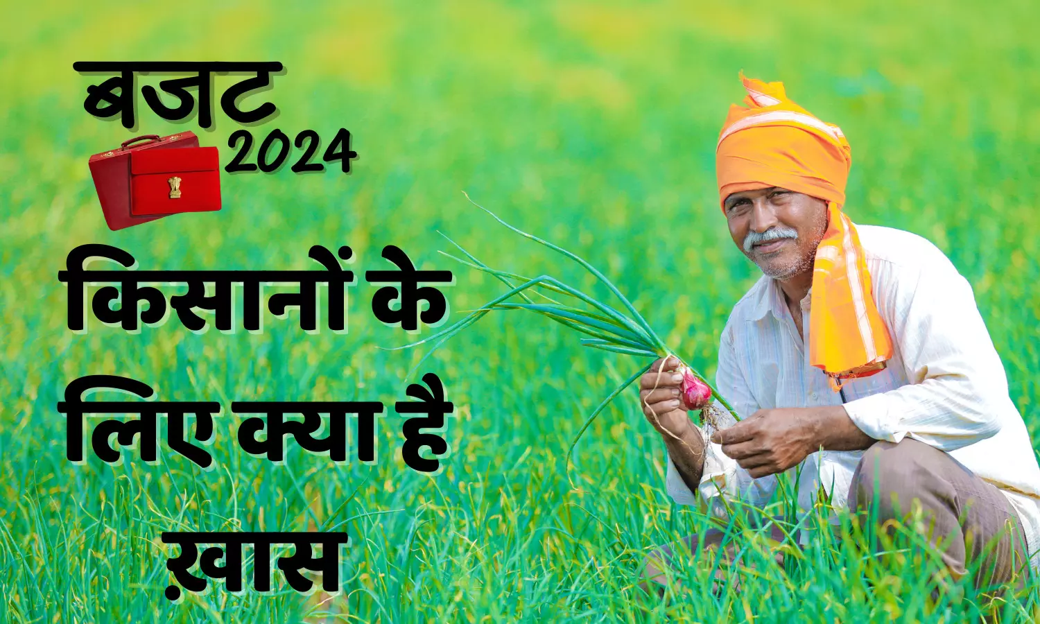 अंतरिम बजट 2024 : खेती और किसानों के लिए इस बार क्या है ख़ास