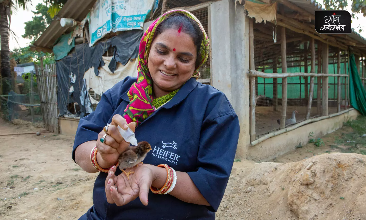 ओडिशा के आदिवासी गाँवों में मुर्गी पालन को बढ़ावा दे रही हैं केव दीदियाँ