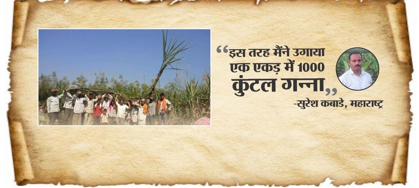 किसान का खत : महाराष्ट्र के किसान ने बताया कैसे वो एक एकड़ में उगाते हैं 1000 कुंटल गन्ना