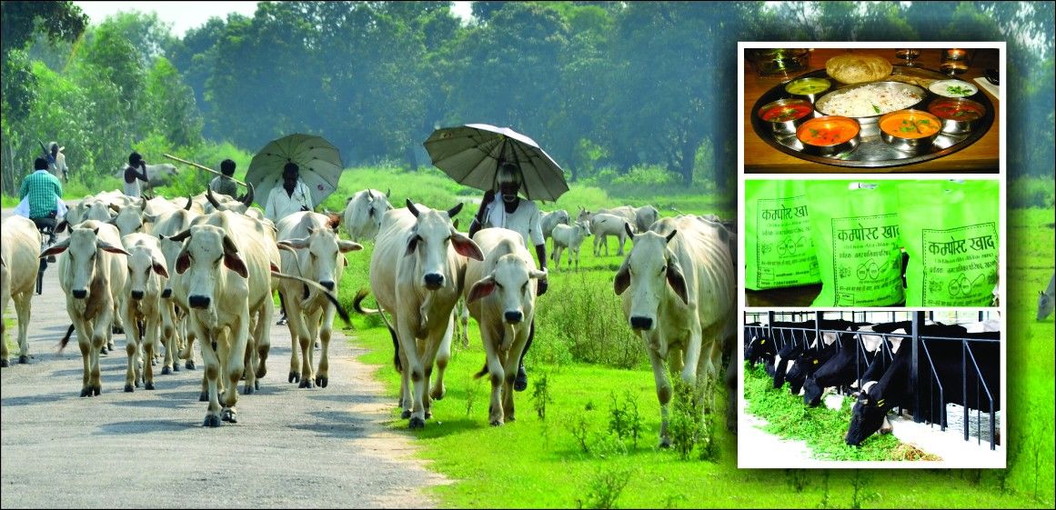 ग्लोबलाइजेशन के इस युग में गाय , गाँव , गँगा से ही उम्मीदें