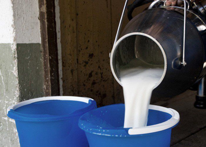 ख़बर जो सवाल खड़े करती है : भारत में दूध उत्पादन तो खूब हो रहा है लेकिन पीने को नहीं मिल रहा है