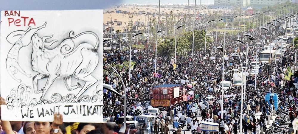 दिल्ली पहुंची जल्लीकट्टू की जंग : प्रधानमंत्री मोदी ने तमिलनाडु मुख्यमंत्री पनीरसेल्वम से कहा, मामला कोर्ट मेंं विचाराधीन    
