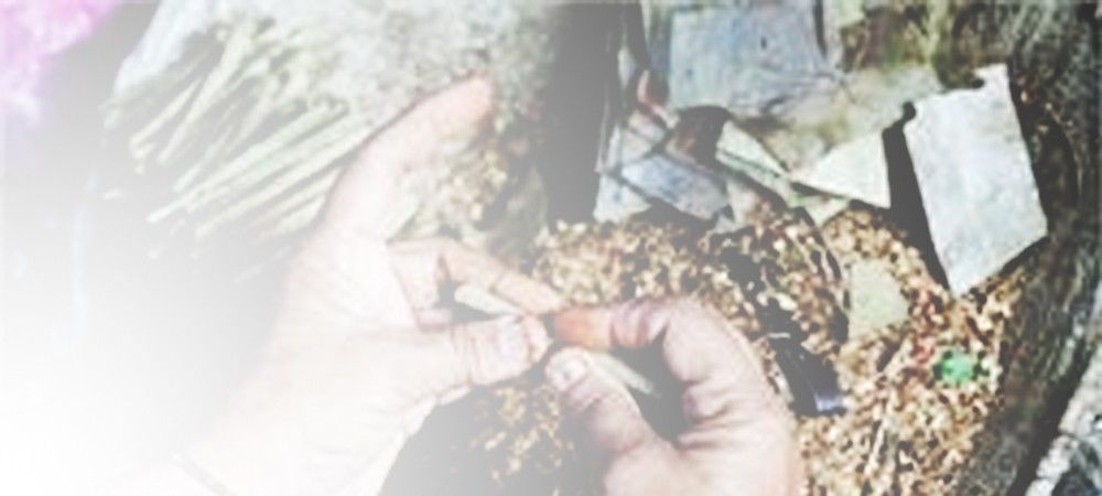 भूख दबाने के लिए भारत में सात करोड़ महिलाएं चबाती हैं तंबाकू 
