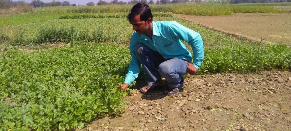 सिर्फ 2 घंटे खेत में काम करके ये किसान हर महीने कमाता है 15 से 20 हजार रुपए