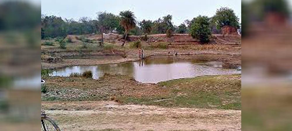 तालाब पर दबंगों का कब्जा, गाँव में घट रहा जलस्तर, फसलों की पैदावार पर पड़ रहा असर