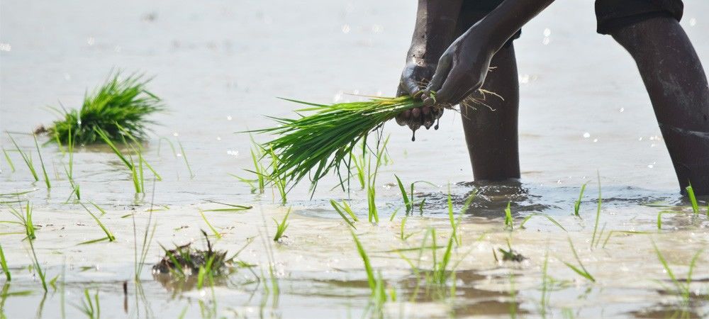 भारत बेकार पानी का खेती में इस्तेमाल करने वाले पहले पांच देशों में