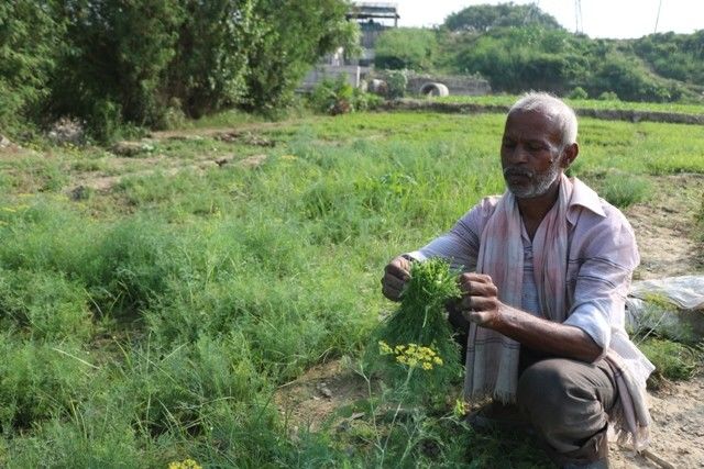 केरल सरकार किसानों को हर महीने देगी एक हजार की पेंशन