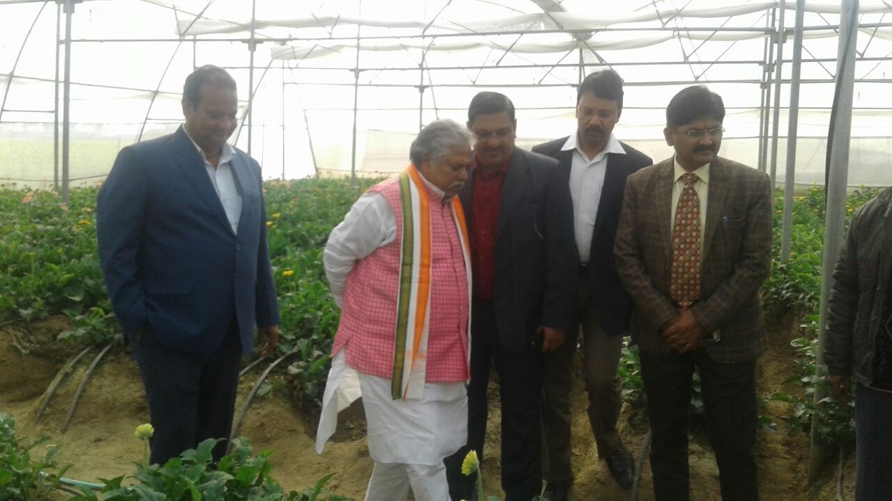 बिहार के कृषि मंत्री ने बाराबंकी में देखी फूलों की खेती  