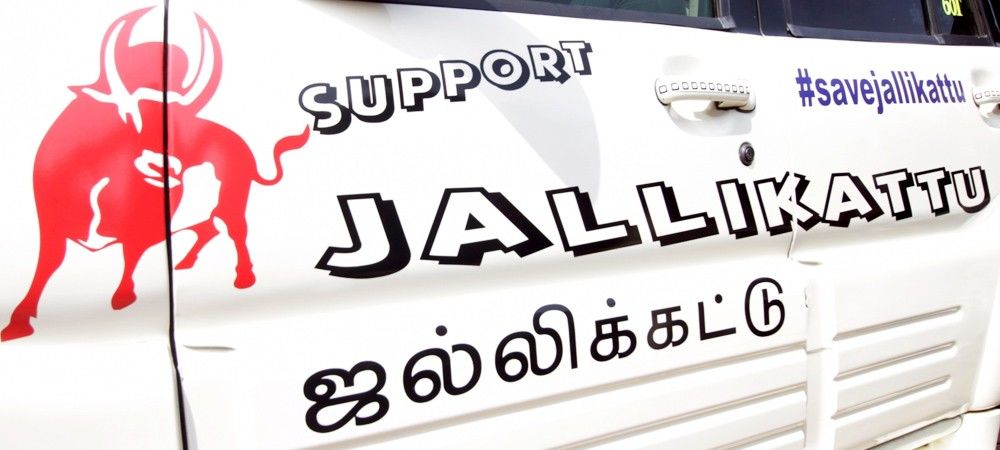 जल्लीकट्टू पर अपने अध्यादेश के बचाव में तमिलनाडु ने सुप्रीम कोर्ट में दायर की केविएट  