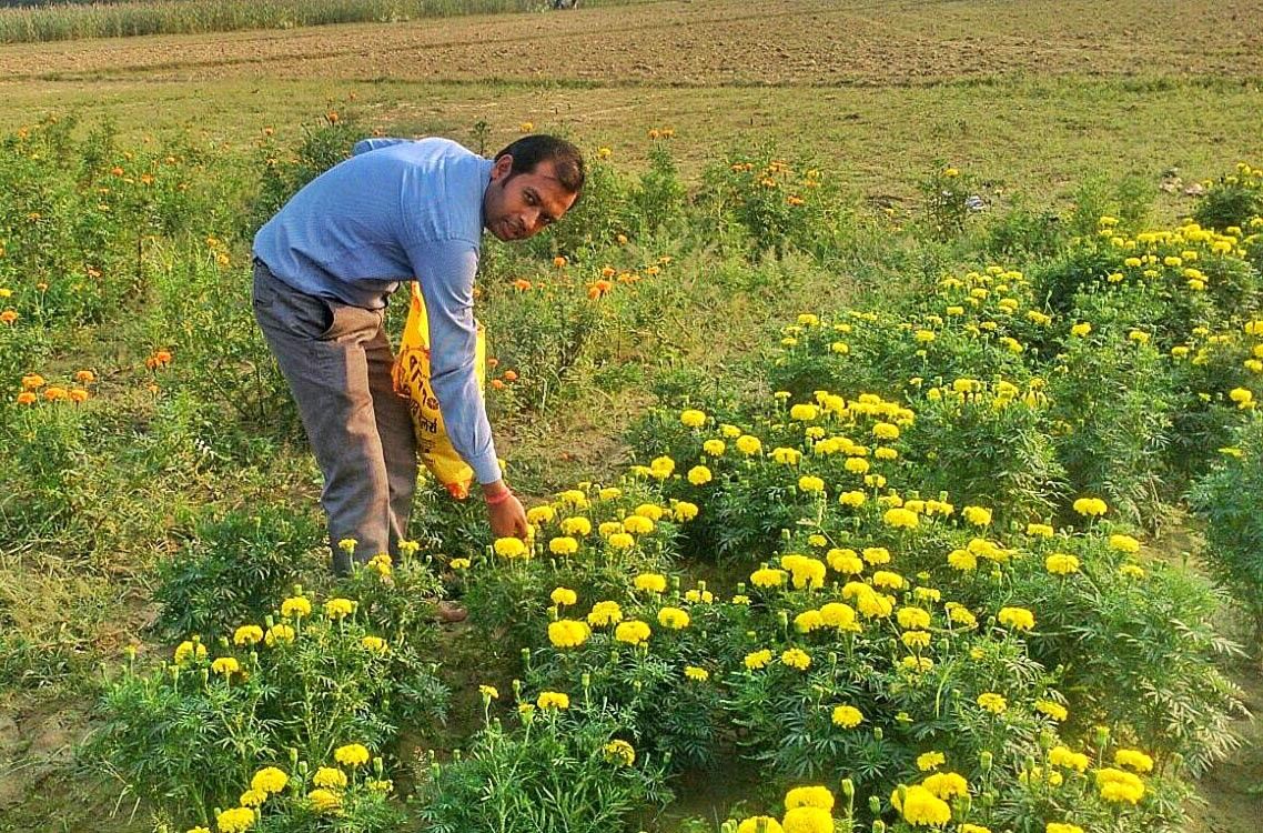 रवि बने किसानों के लिए मिसाल, मल्टीनेशनल कंपनी में नौकरी छोड़ शुरू की बागवानी