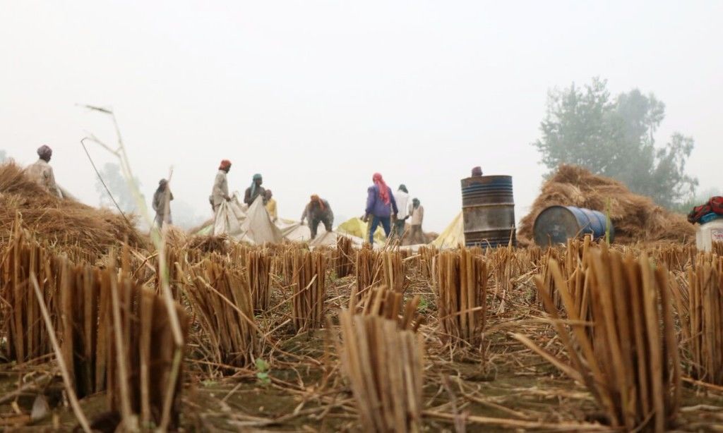 पंजाब के कृषि विशेषज्ञों की मांग, पराली जलाने पर लगाएं प्रभावी रोक