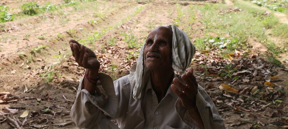 कृषि रक्षा इकाई न खुलने से सुल्तानपुर के किसान परेशान