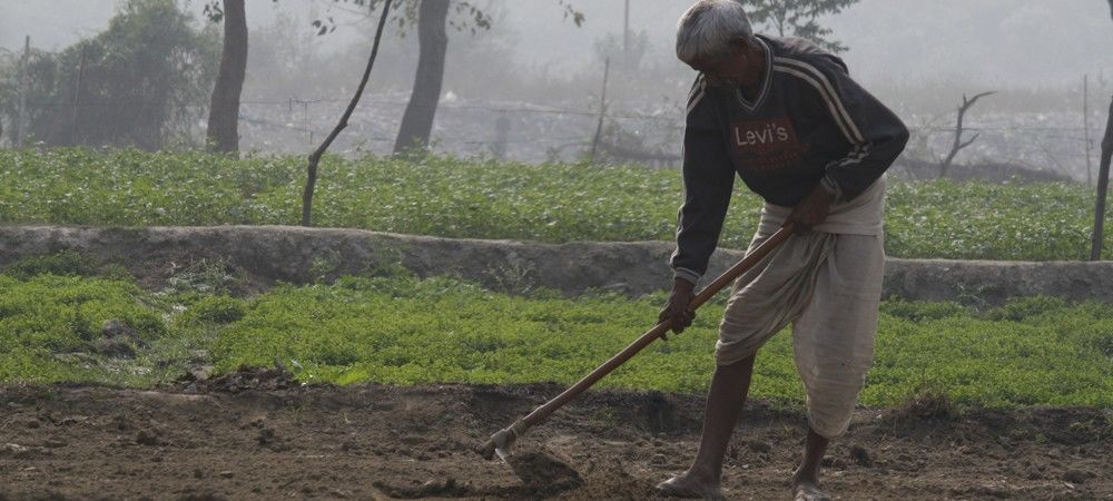 एक किसान ने बिना किसी संसाधन के 4 महीने में बंजर ज़मीन बनाया उपजाऊ