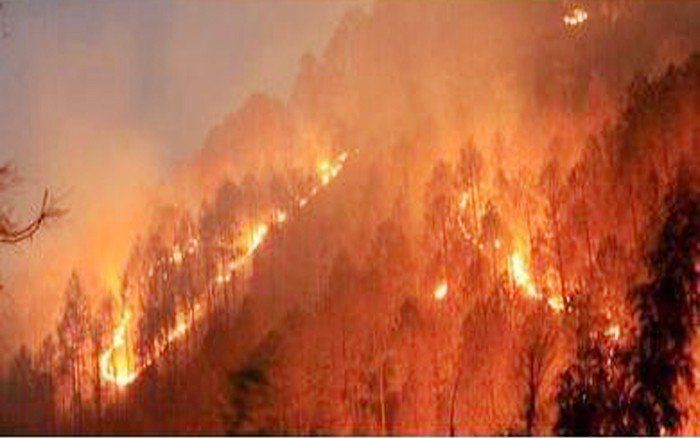 हिमाचल के  शिमला में लकड़ी के बने 30 घरों में आग, 50 से अधिक लोग बेघर