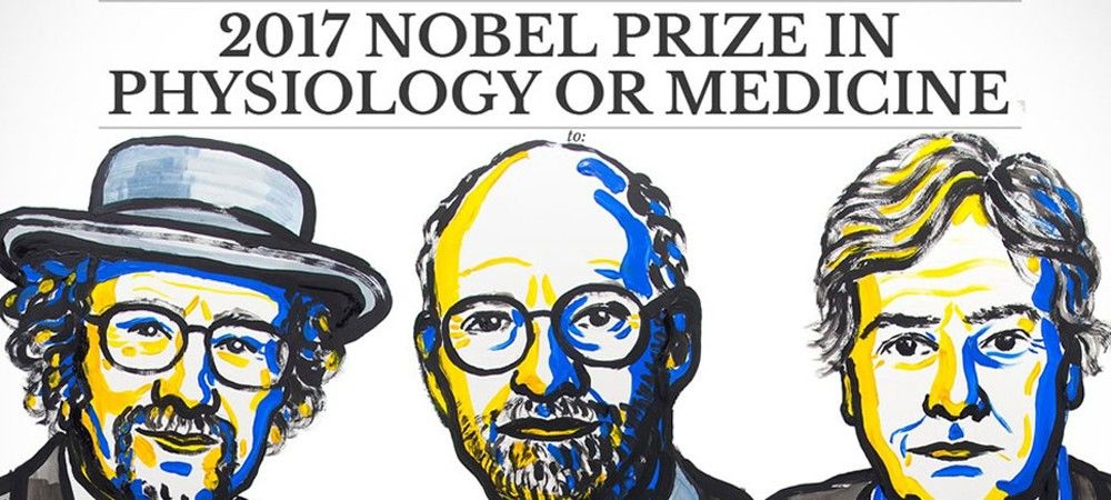 नोबेल मेडिसिन पुरस्‍कार : इंसान को रात में कैसे आती है नींद, बताती है बॉडी क्‍लॉक