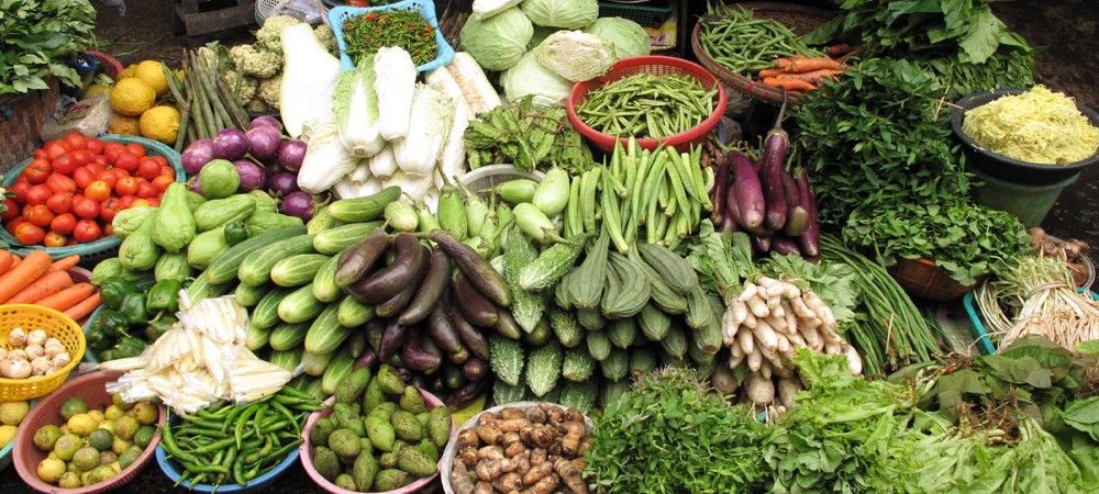 भारत में फल और सब्जियों का बीज भी बन रहा बड़ा उद्योग