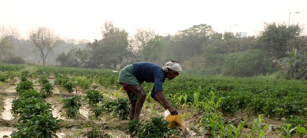 सहारनपुर जिले का कंपनी बाग किसानों के लिए बनेगा प्रशिक्षण केंद्र, नई तकनीकों की दी जाएगी जानकारी