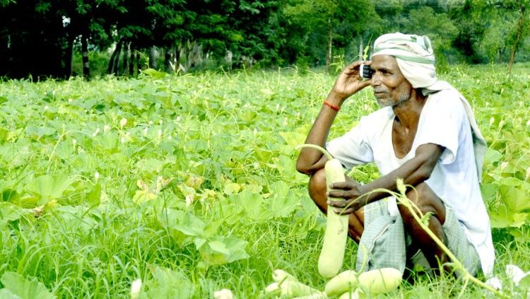 100 करोड़ मोबाइल बदल सकते हैं देश में खेती की किस्मत