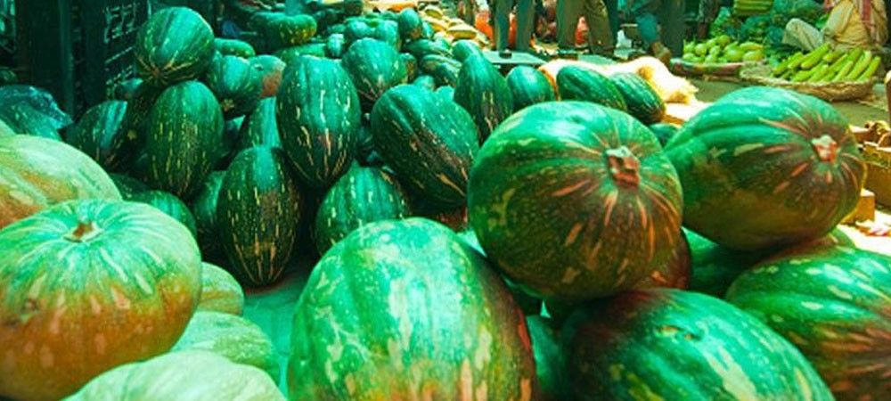 कद्दू: कम लागत में ज्यादा मुनाफा देने वाली सब्जी की फसल