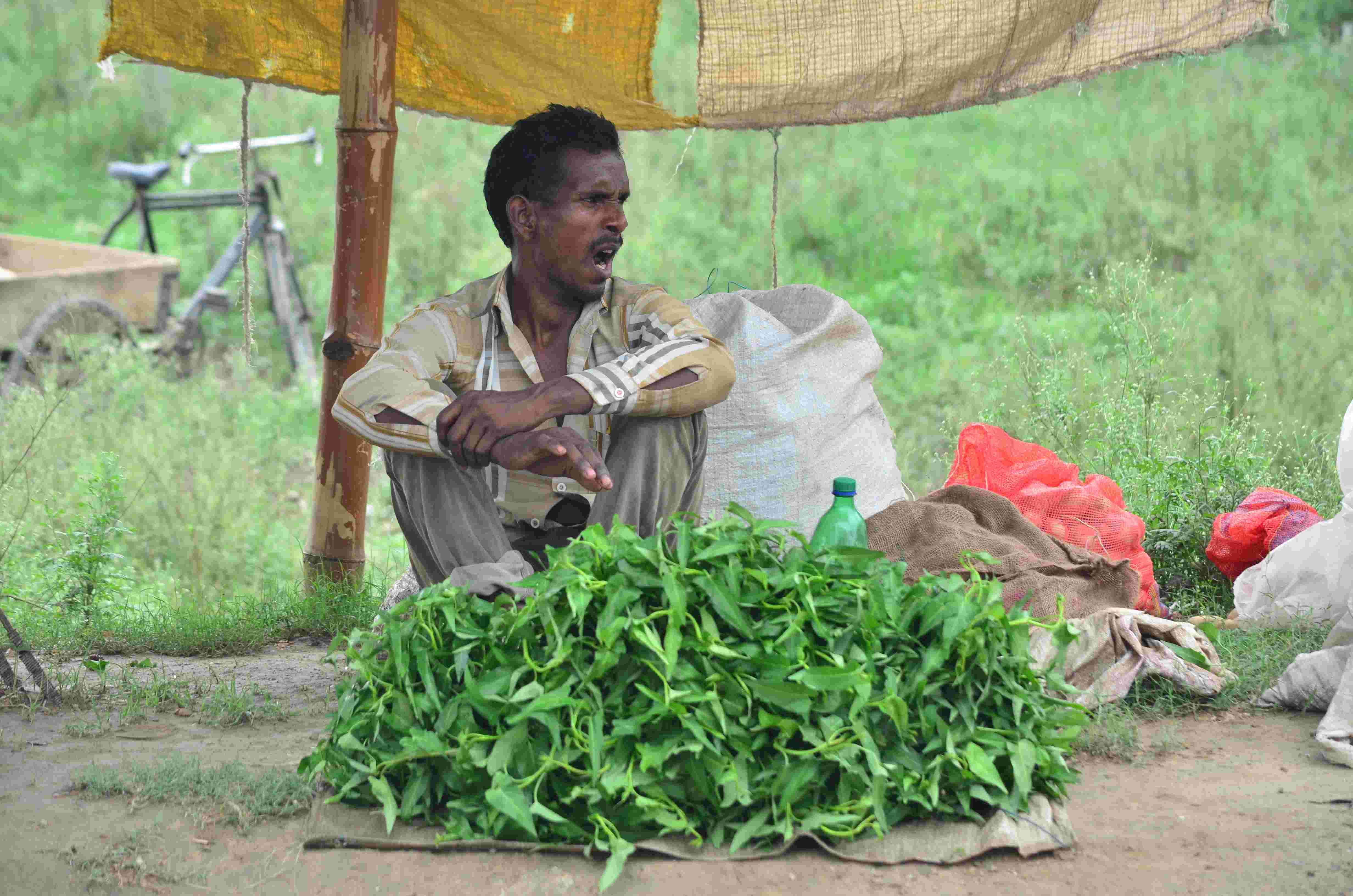 किसानों-आढ़तियों का राहत: सरकार कम कर सकती है मंडी लाइसेंस शुल्क