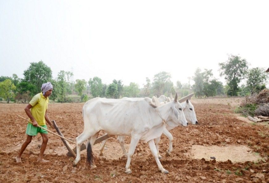 महाराष्ट्र के 3.50 लाख किसानो को मिलेगा बीमा योजना का फायदा