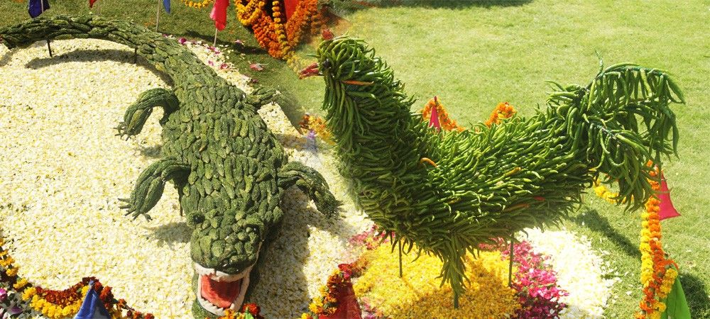 प्रदर्शनी में हरी मिर्च की मुर्गी, करेले से बने मगरमच्छ ने लोगों को खूब आकर्षित किया