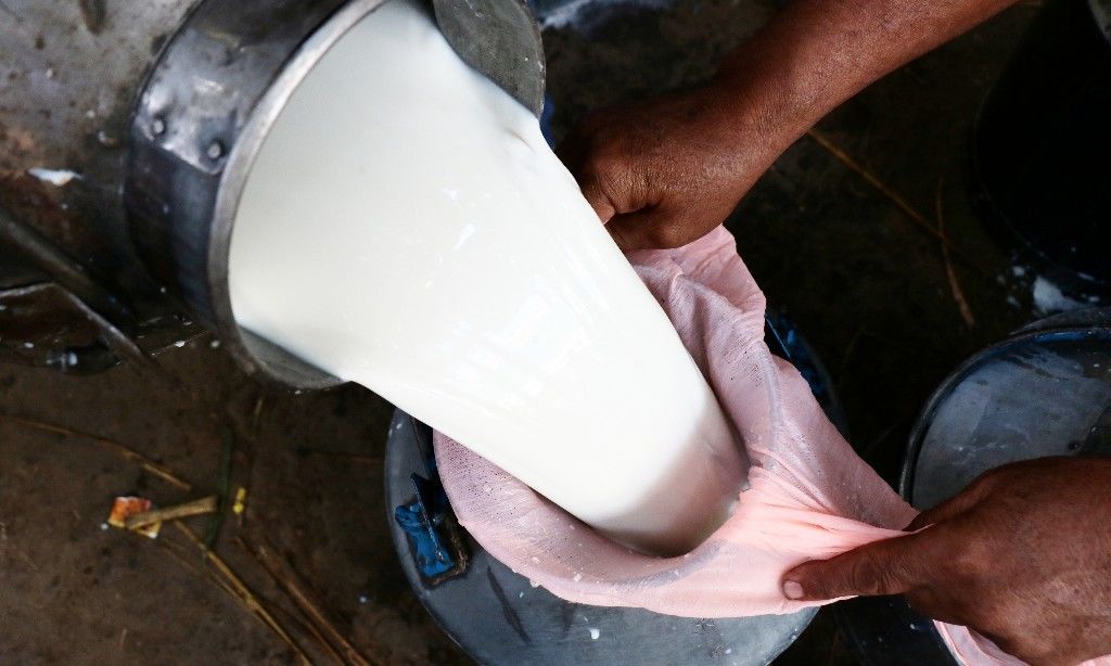भारत के हर आदमी के हिस्से में अब 350 ग्राम दूध 