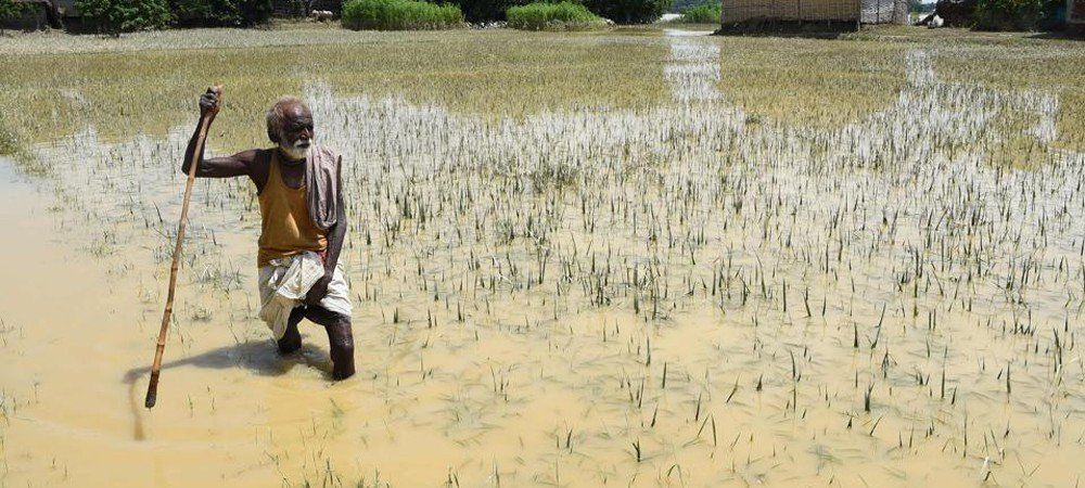 किसानों की टूट गई उम्मीद, उत्तर प्रदेश में 4.5 करोड़ लाख रुपए की फसल बर्बाद