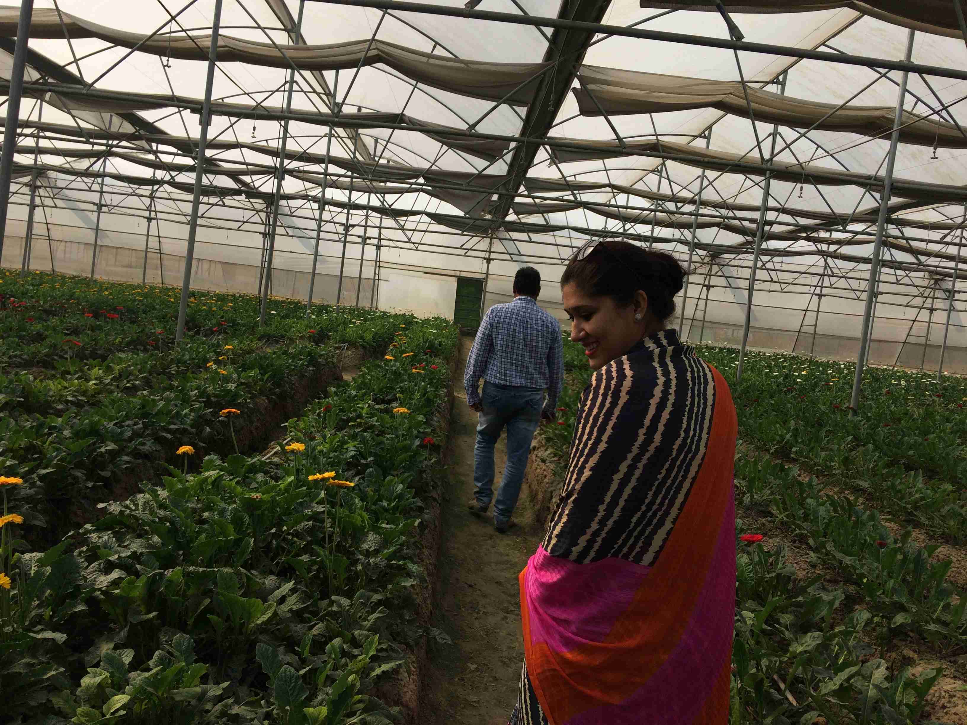 फूल-सब्जियों की खेती का बाराबंकी में बढ़ा रकबा, जिले में हैं सबसे ज्यादा पॉलीहाउस