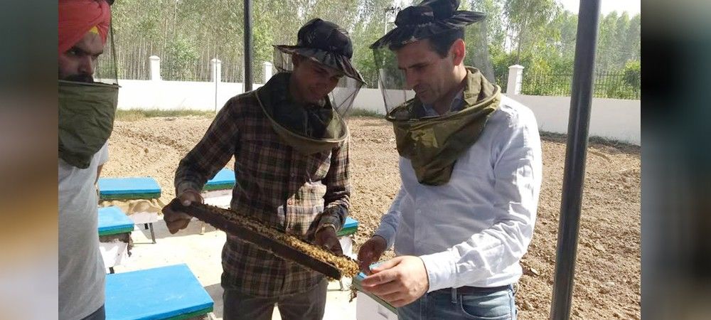 इजरायल की सहायता से भारत में बढ़ेगा शहद और फूलों का उत्पादन