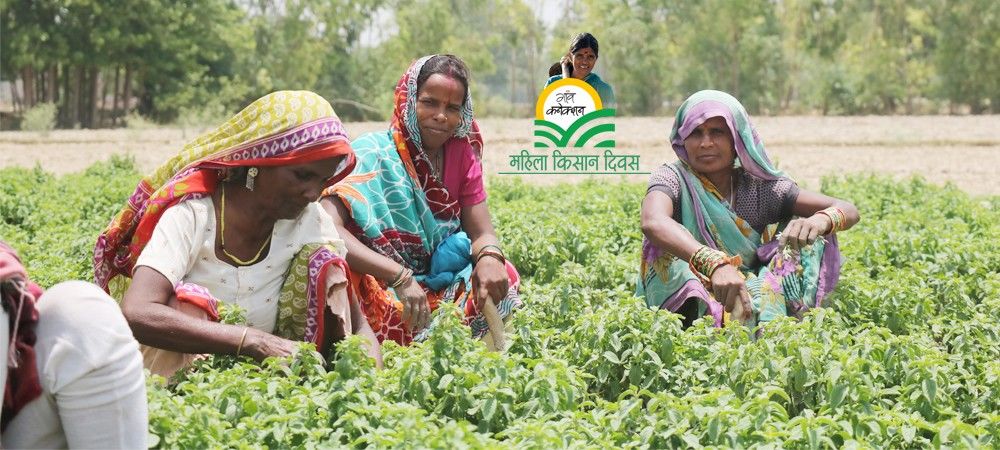 वीडियो : महिला किसान दिवस पर सलाम करिए खेत में काम करने वाली महिलाओं को