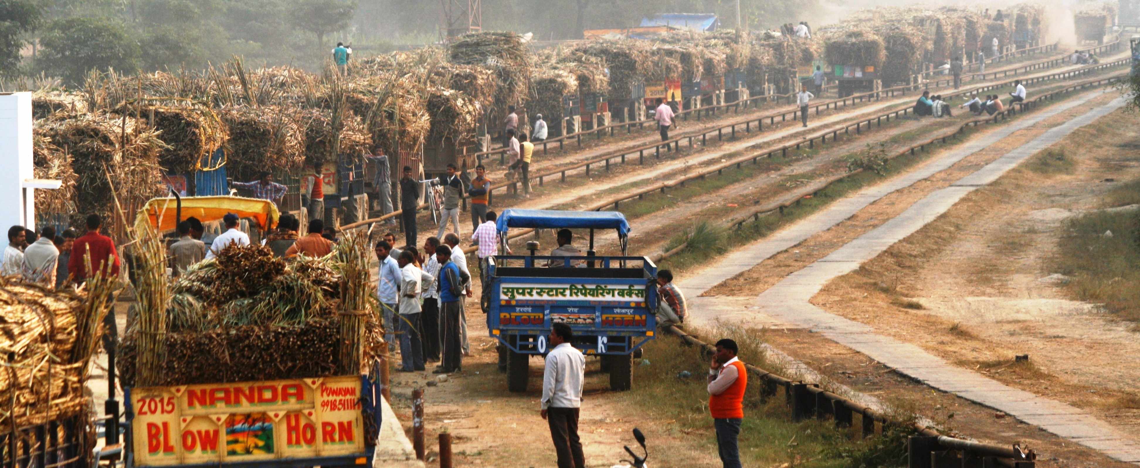 sugarcan due, गन्ना किसान, गन्ना किसानों का बकाया, गन्ना किसानों का 13,000 करोड़ रुपए बकाया