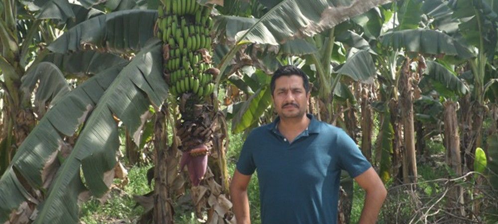 इंजीनियरिंग छोड़ बने किसान, कर रहे हैं नींबू और केले की बागवानी
